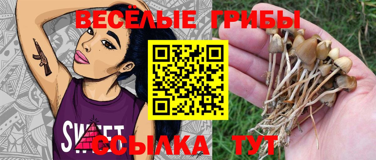 Заводоуковск  Псилоцибиновые грибы мицелий  Вход с VPN 